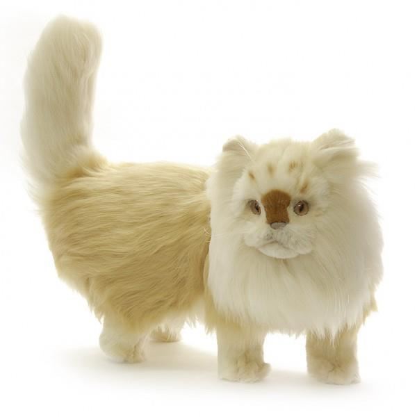 Site pour chaton a donner